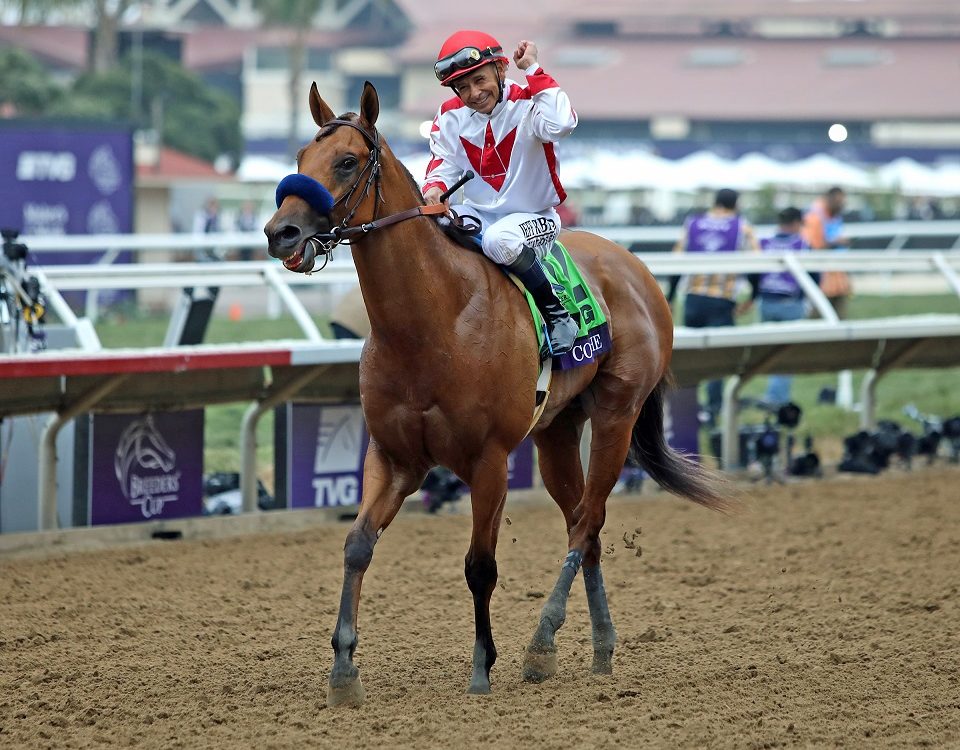 Corniche, under Mike Smith, wins the Breeders' Cup Juvenile at Del Mar Thoroughbred Club on Nov. 5, 2021.