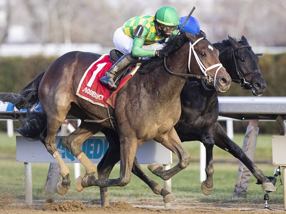 Mo Donegal (outside), under Irad Ortiz Jr., beats Zandon (7) to win the Remsen Stakes at Aqueduct Racetrack on Dec. 4, 2021.