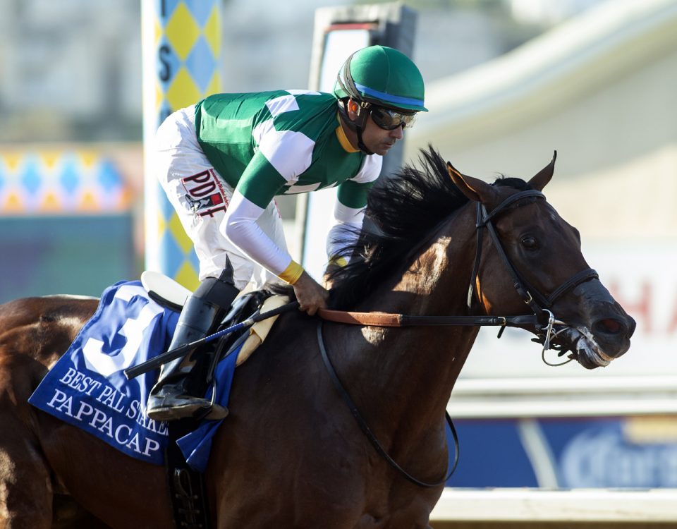 Rustlewood Farm's Pappacap and jockey Joe Bravo win the Grade II $200,000 Best Pal Stakes Saturday, August 7, 2021 at Del Mar Thoroughbred Club in Del Mar, CA. Benoit Photo