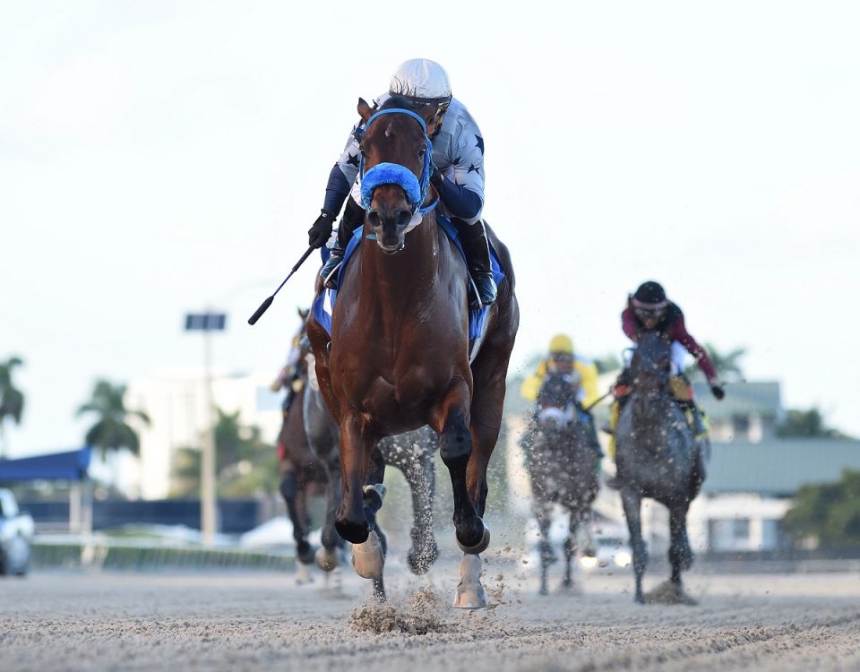 Simplification, under Javier Castellano, wins the Mucho Macho Man Stakes at Gulfstream Park on Jan. 1, 2022.