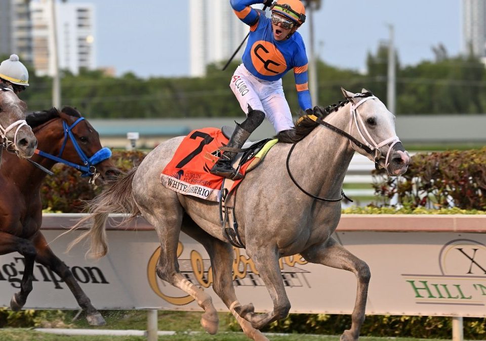 White-Abarrio-the-FL-Derby-credit-Lauren-King-