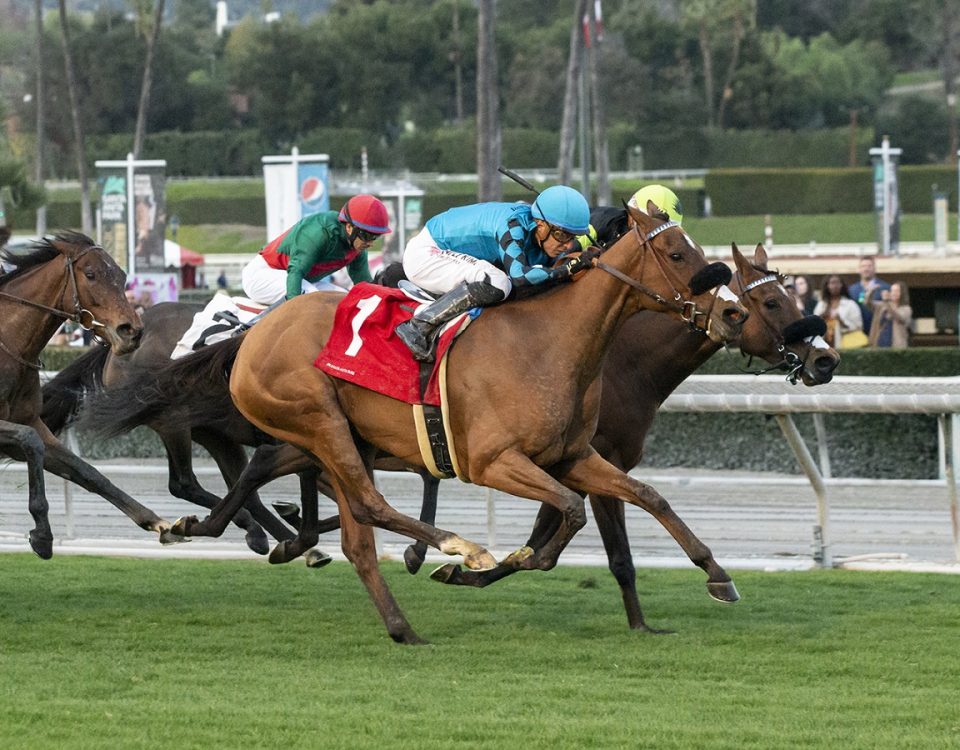 Rhea Moon - American Oaks - Benoit Photo
