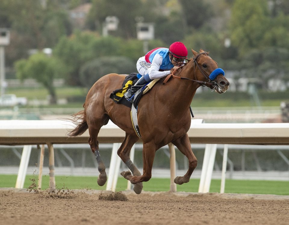 Taiba - Malibu S. - Benoit Photo