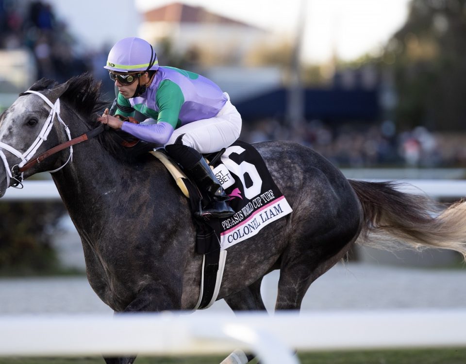Colonel Liam - Pegasus World Cup Turf - Debra A. Roma