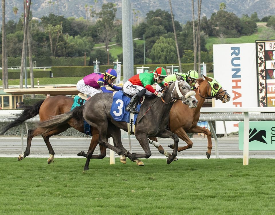 Grazed My Heart - California Cup Oaks - Benoit Photo
