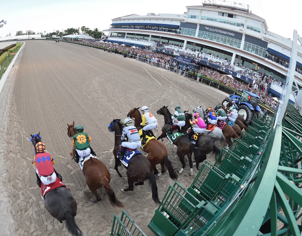Gulfstream Park - Start - Coglianese Photo