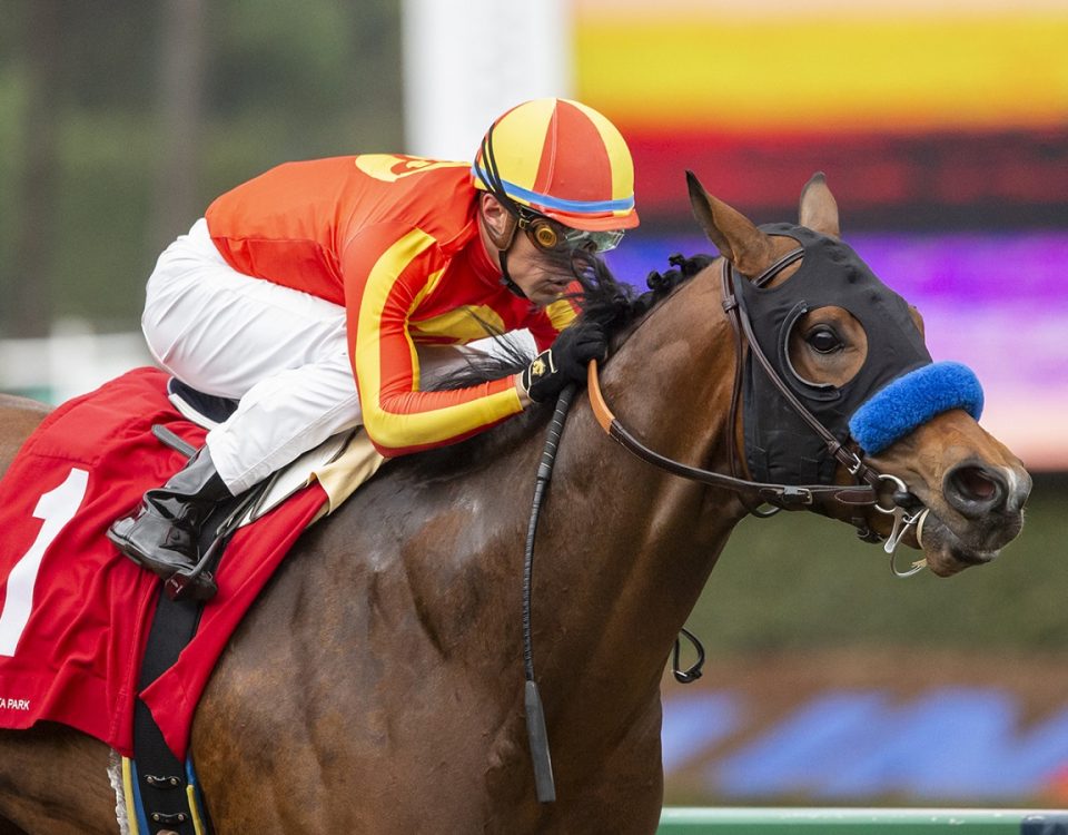 Havnameltdown - San Vicente Stakes - Benoit Photo