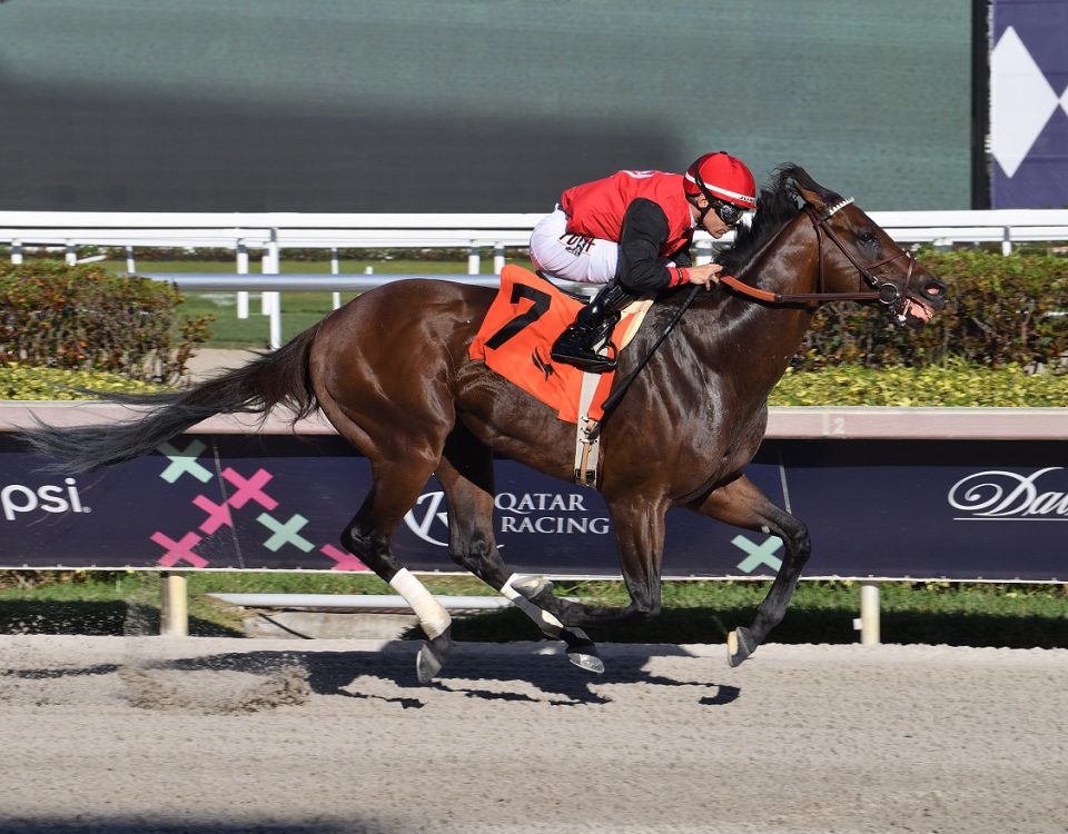 Candy Man Rocket - GP Sprint - Lauren King