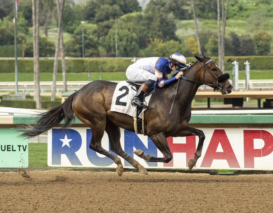 Alice Marble - Irish O'Brien S. - Benoit Photo