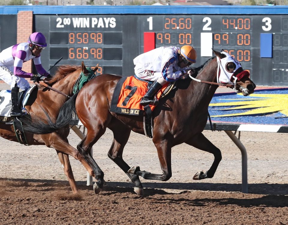 Wild On Ice - Sunland Derby - Coady Photography