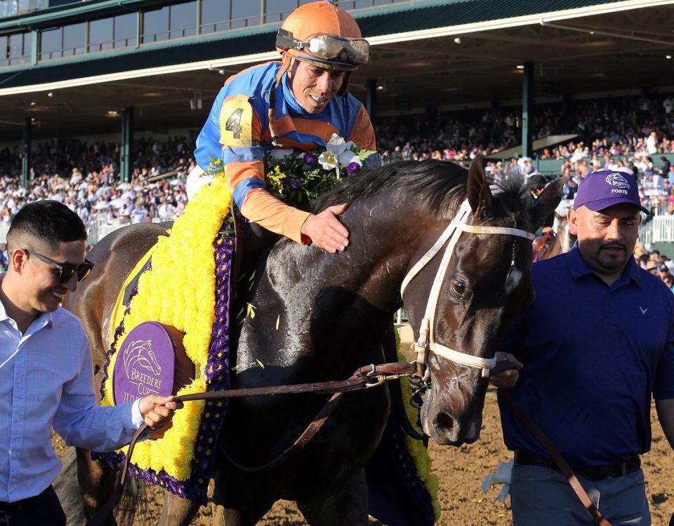 Forte - Breeders Cup Juvenile - Susie Raisher