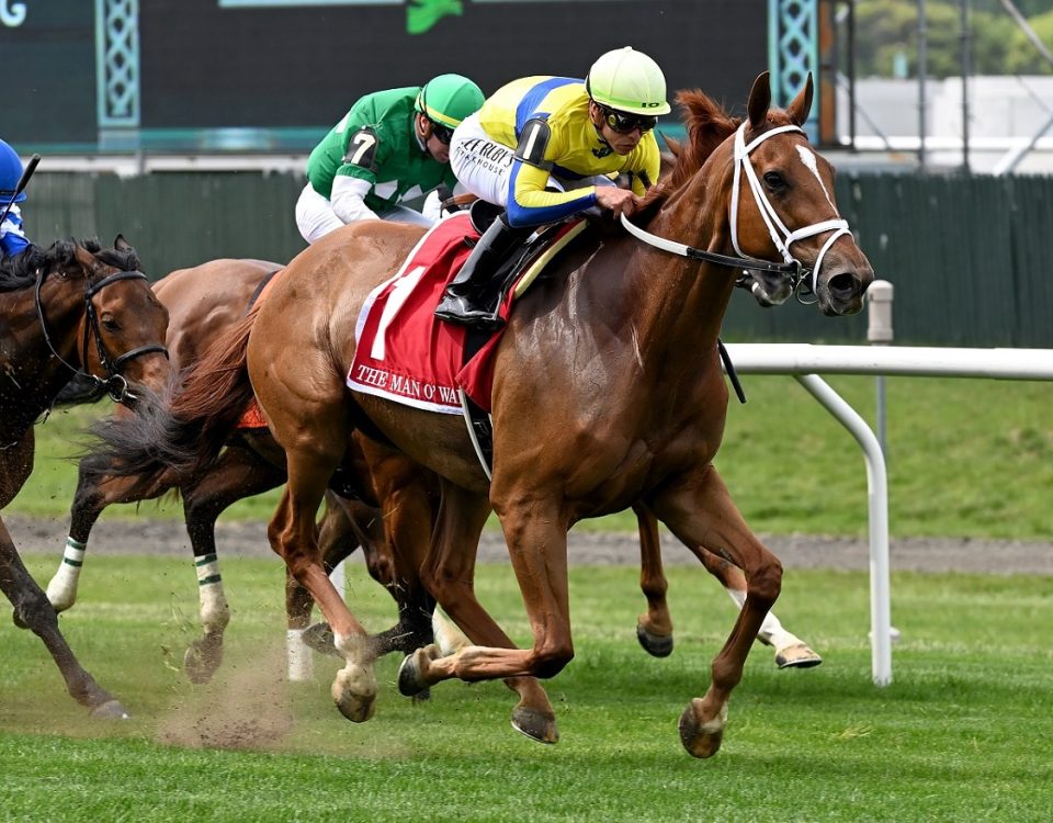 Red Knight - Man o' War S. - Coglianese Photo