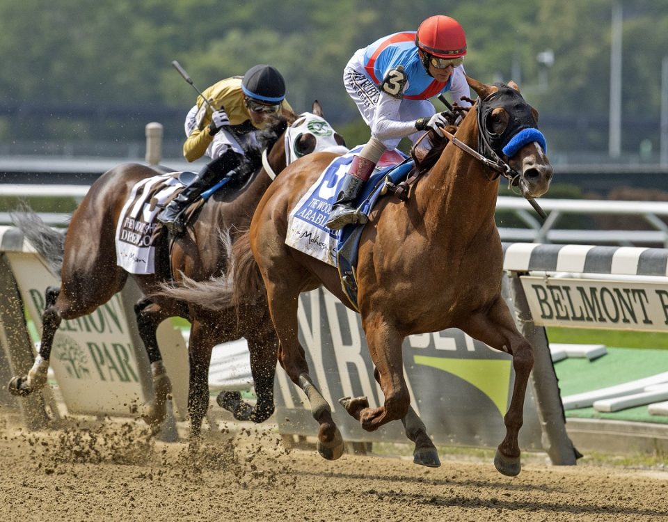 Arabian Lion - Woody Stephens G1 - Foto Barbara Livingston - DRF
