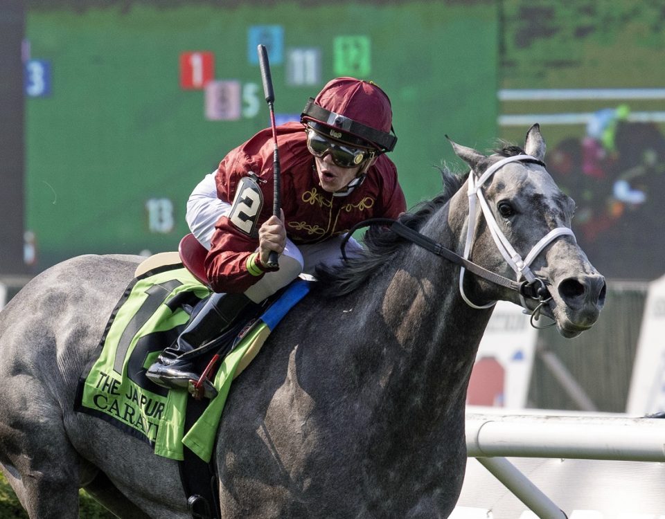 Caravel - Jaipur Stakes - Barbara D. Livingston