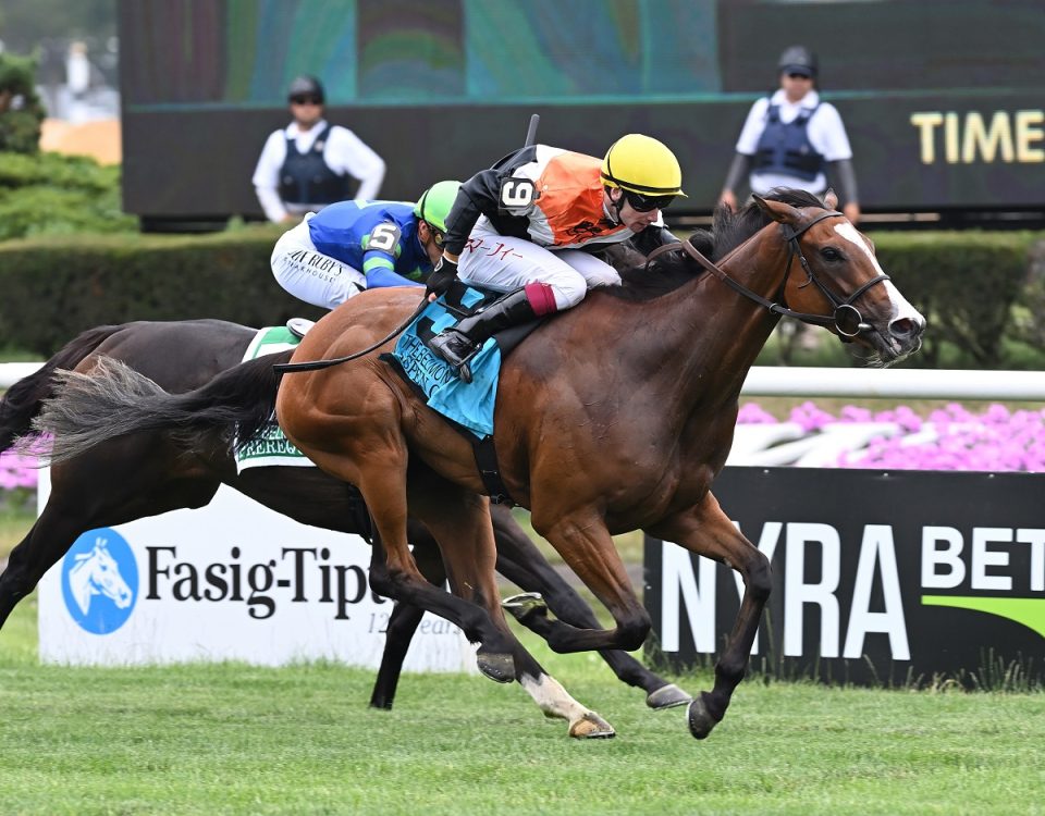 Aspen Grove the Belmont Oaks - Coglianese Photo