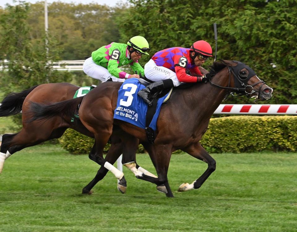 Runaway Rumour - John Hettinger Stakes - Crédito- Susie Raisher - Coglianese Photo