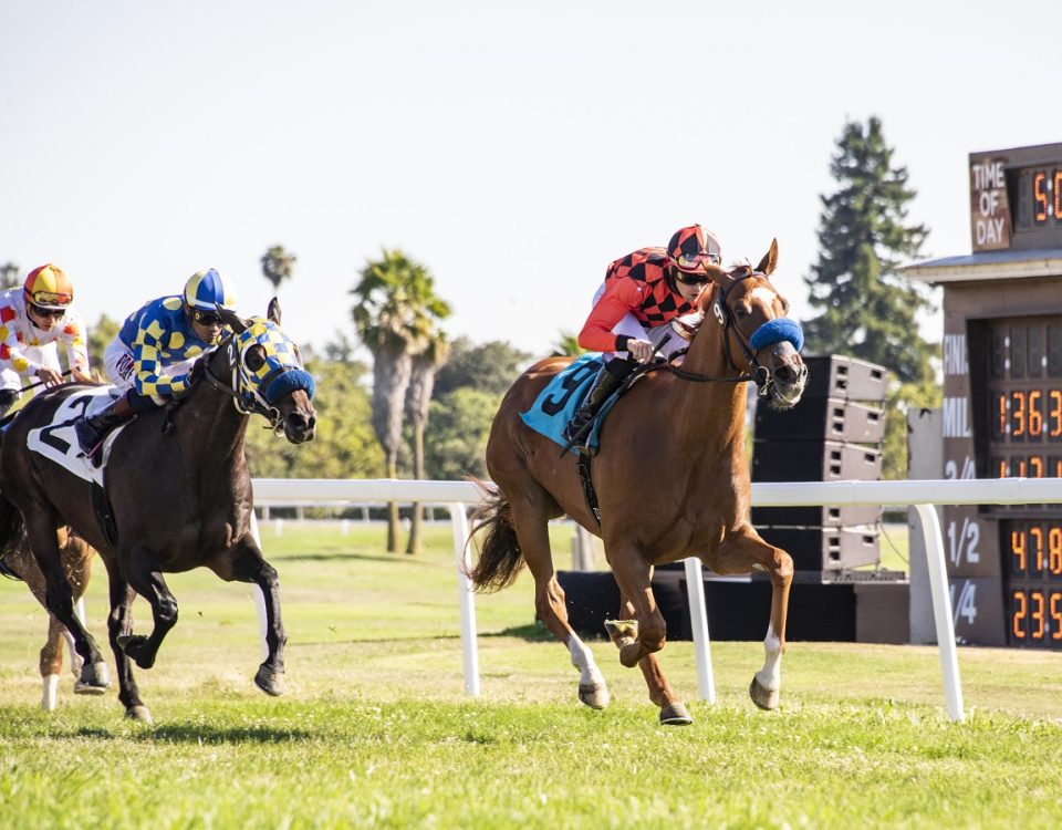 Clovisconnection - Robert Dupret Derby - Vassar Photography