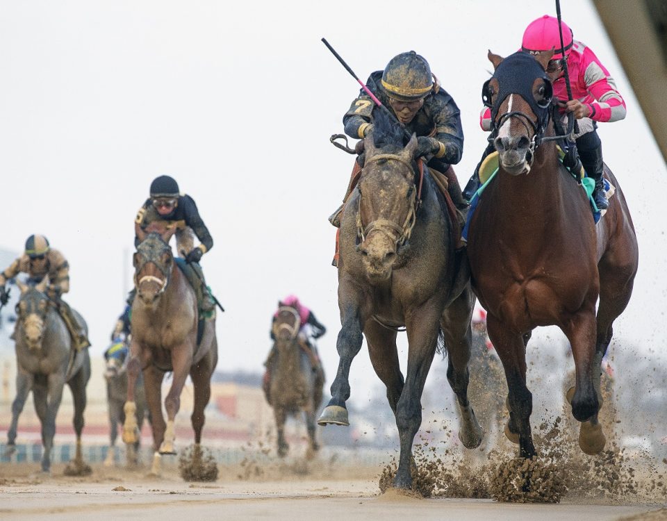 Dornoch - Remsen - credito Barbara Livingston - DRF