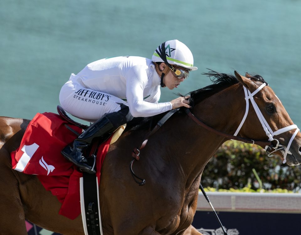 Speak Easy - Barbara Livingston - Daily Racing Form