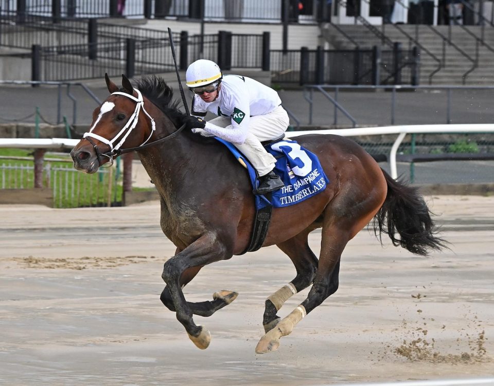 Timberlake - Champagne Stakes G1 - Coglianese Photo