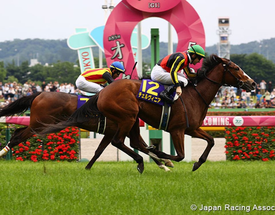 Cervinia - Japanese Oaks - JRA Photo