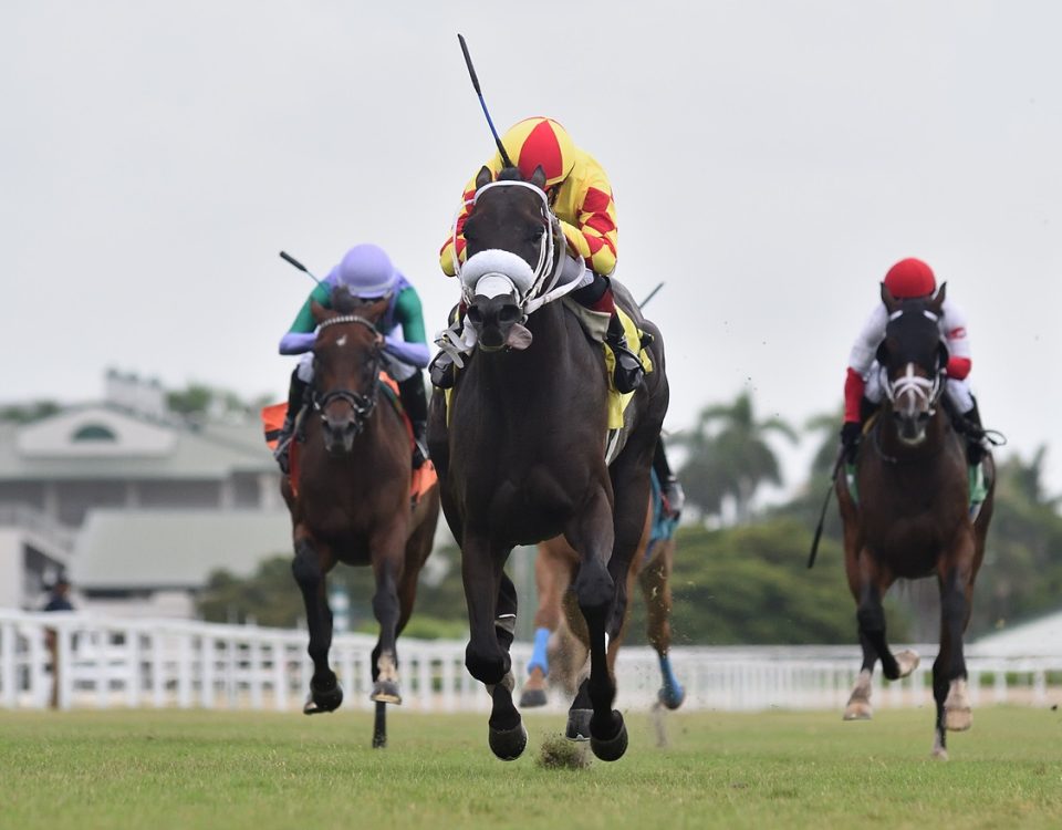 Grand Mo the First - Gulfstream Park - Ryan Thompson
