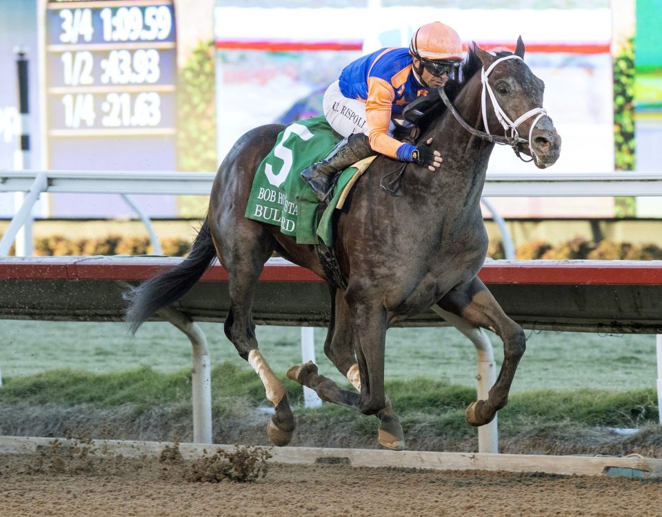 Bullard - Bob Hope Stakes G3 - Barbara D. Livingston - Daily Racing Form