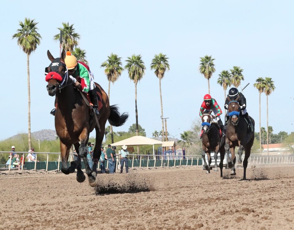 Bodi Zafa - Turf Paradise Derby - Coady Media