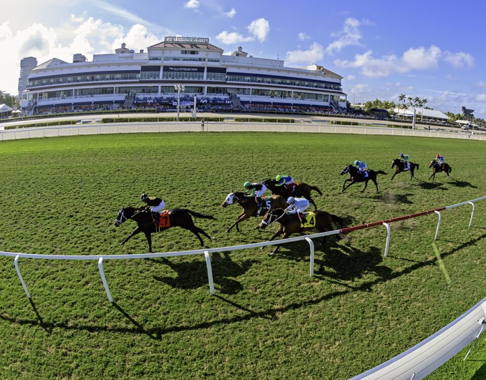 Biz Biz Buzz - Turf - Ryan Thompson/Coglianese Photo