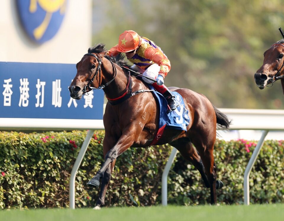 Cap Ferrat - Hong Kong Derby - Hong Kong Jockey Club