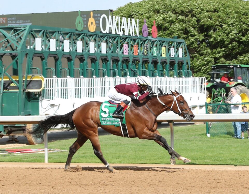 Clever Again - Hot Springs Stakes - Coady Media