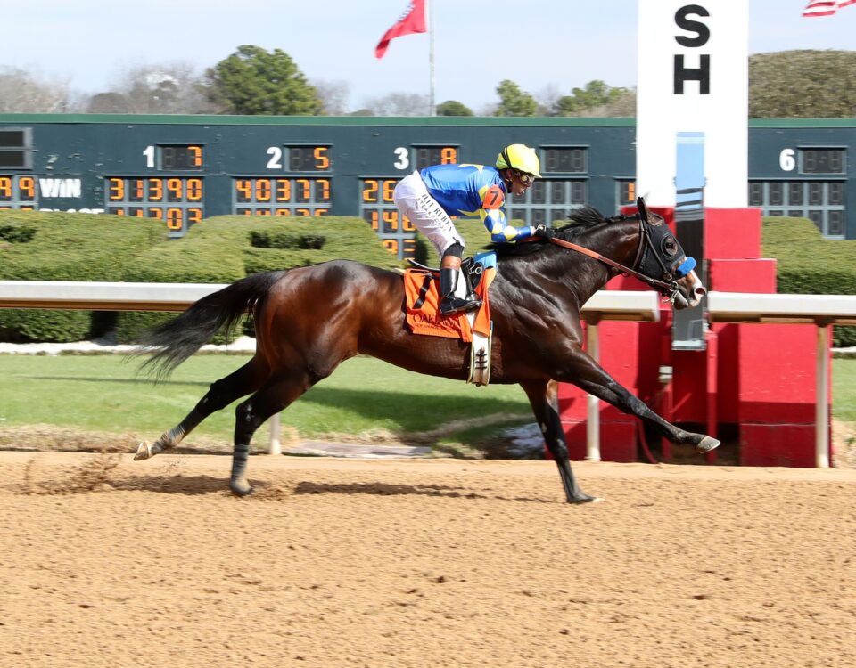 Cornucopian - Oaklawn Park - Foto: Coady Photo