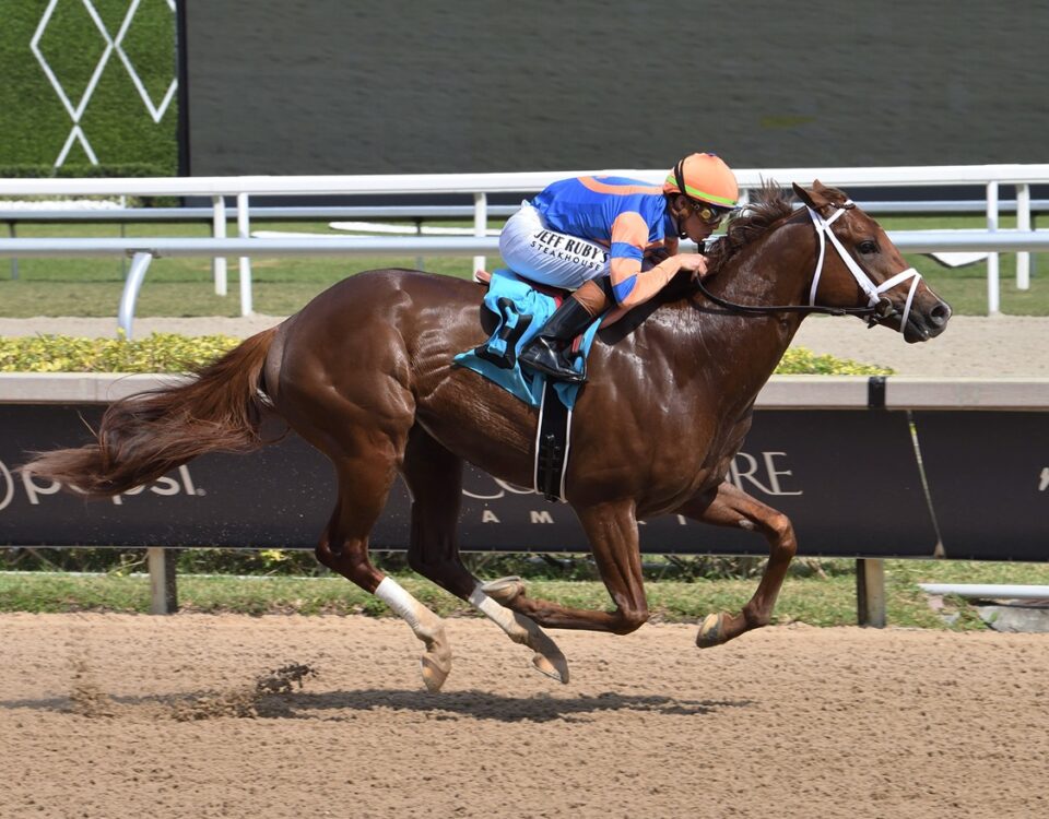 Disruptor - Coglianese Photo