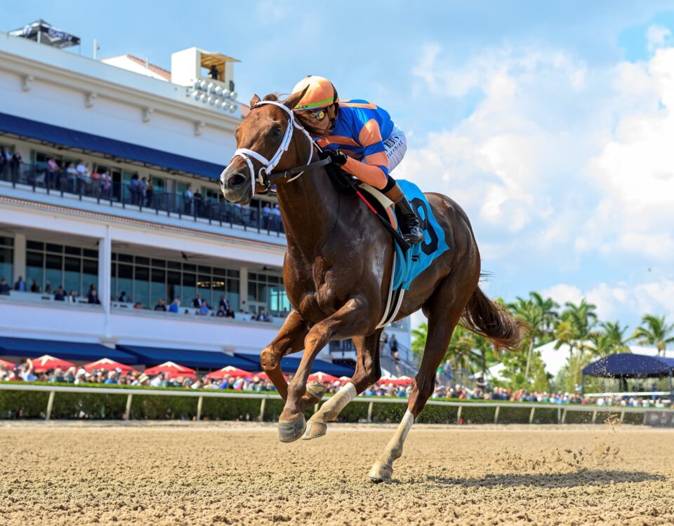 Disruptor - Coglianese Photo
