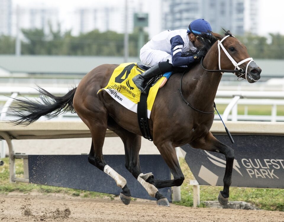Five G - Barbara D. Livingston - Daily Racing Form