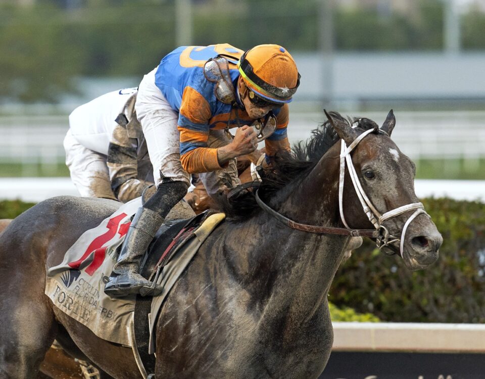 Forte - Florida Derby G1 - Barbara D. Livingston - Daily Racing Form