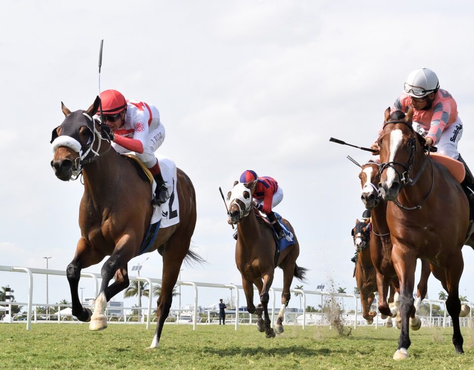 Incanto - Texas Glitter Stakes - Coglianese Photo