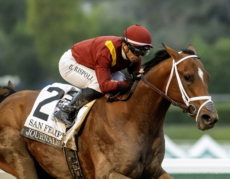 Journalism - San Felipe Stakes G2 - Benoit Photo