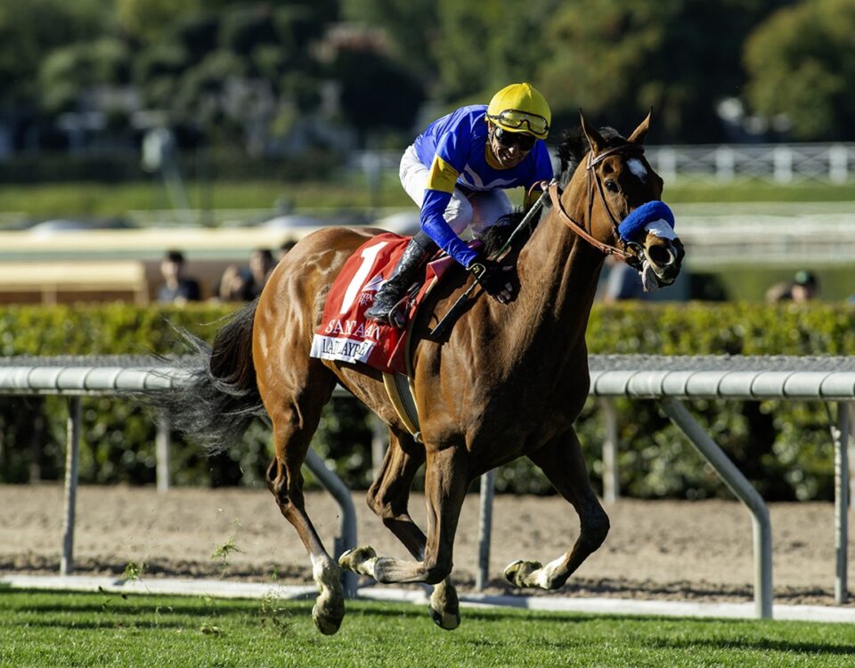 Lady Claypoole - Santa Ana Stakes G3 - Benoit Photo