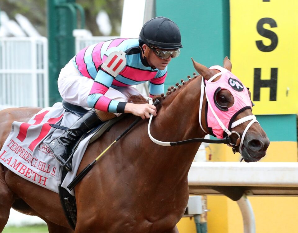 Lambeth - Temperence Hill Stakes - Coady Media