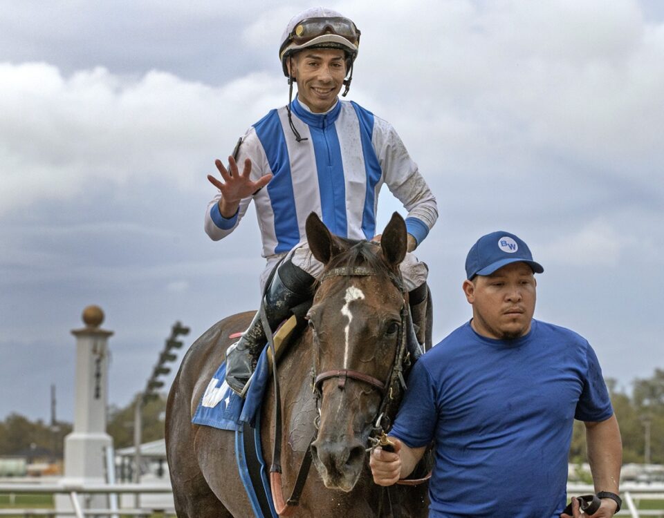 Liberal Lady - Jose Ortiz - Barbara D. Livingston - Daily Racing Form