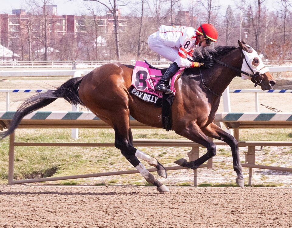 Pay Billy - Private Terms Stakes - Jim Mc Cue