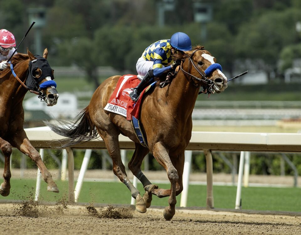 Pilot Commander - San Carlos Stakes G3 - Benoit Photo