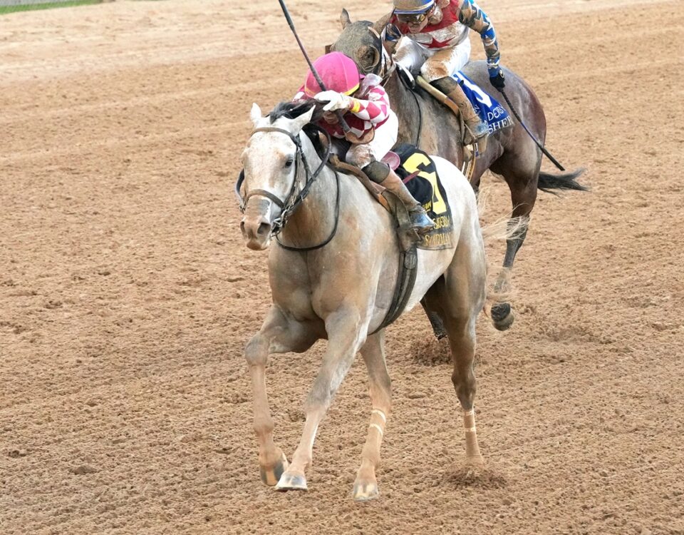 Sandman - Arkansas Derby G1 - Coady Media