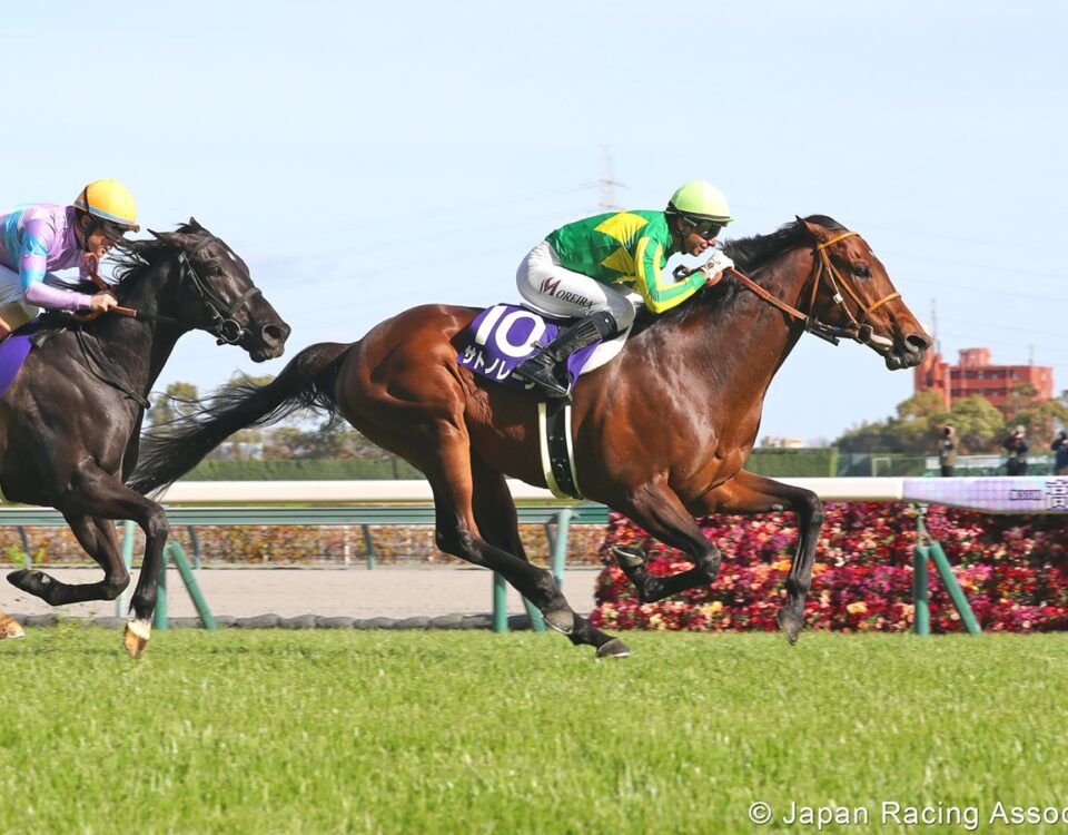 Satono Reve - Japan Racing Association