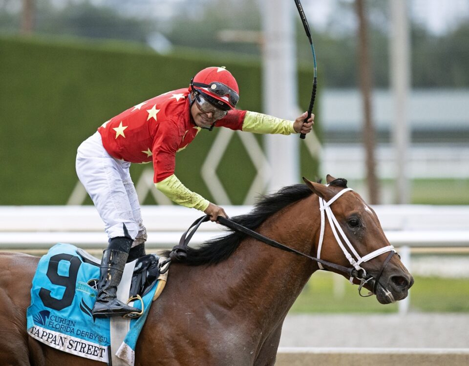 Tappan Street - Florida Derby G1 - Barbara D. Livingston - Daily Racing Form