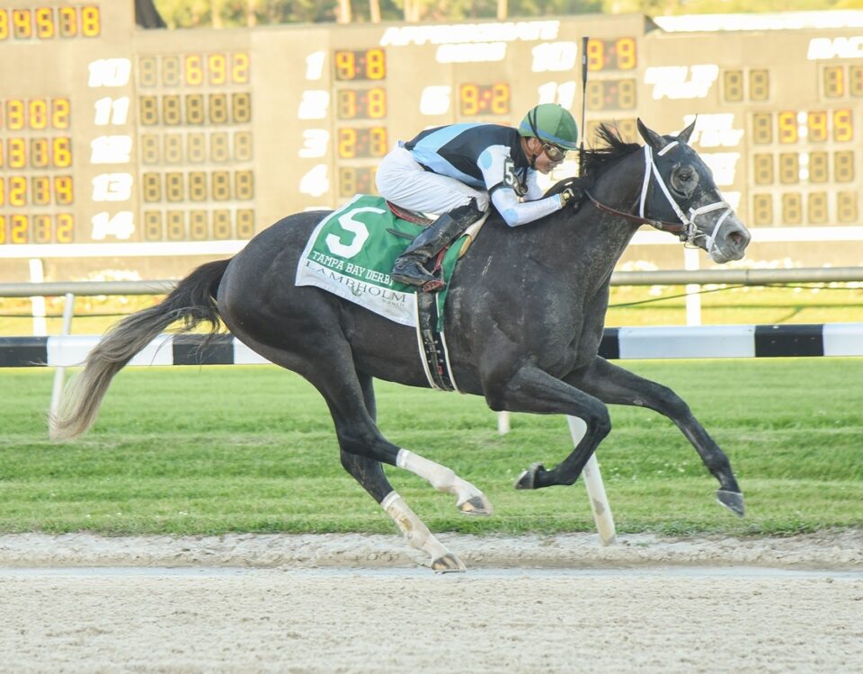 Tapwrit - Tampa Bay Derby G3 - SV Photography