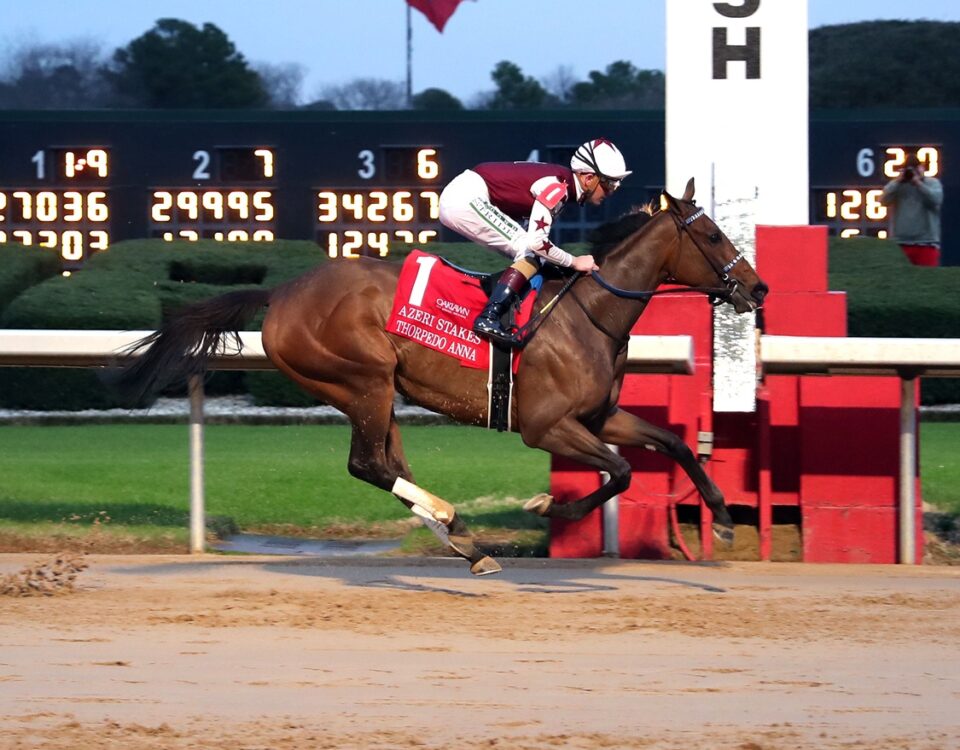 Thorpedo Anna - Azeri Stakes G2 - Coady Media