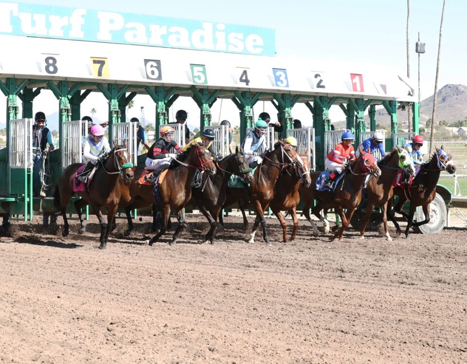 Turf Paradise start - Coady Media