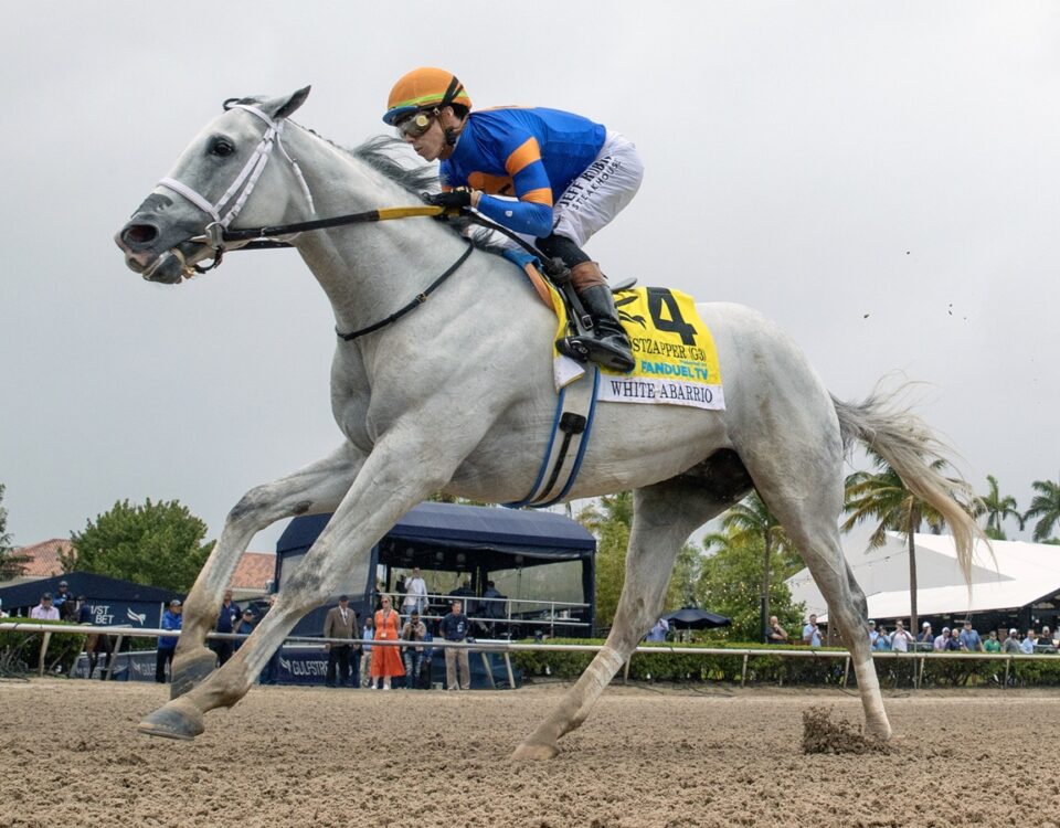 White Abarrio - Barbara D. Livingston - Daily Racing Form